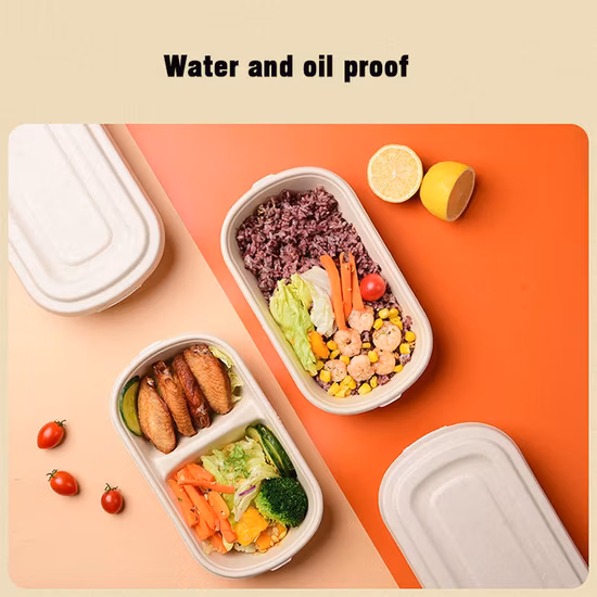 生分解性食器食品容器卸売コーンスターチサトウキビバガスパルプクラムシェル蓋付きレストラン食事準備ランチテイクアウト